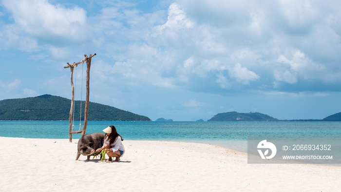 A beautiful young asian woman playing with a pig by the sea on the pig island