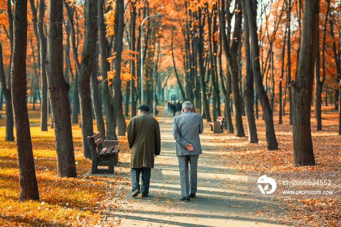 Two senior friends man walking along beautiful colorful autumn city park. Pair of old age persons talking during walk at beautiful multicolored fall tree valley. Retirement and pension concept