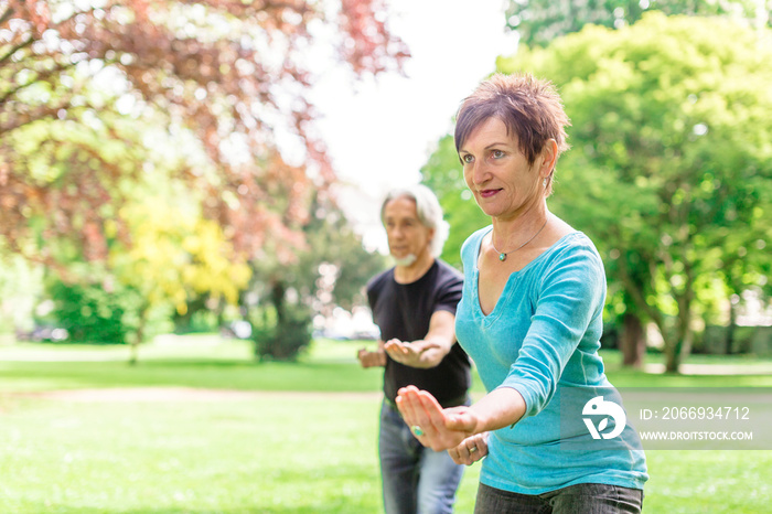 Senior Couple Doing Tai Chi In Park, Tuebingen, Germany