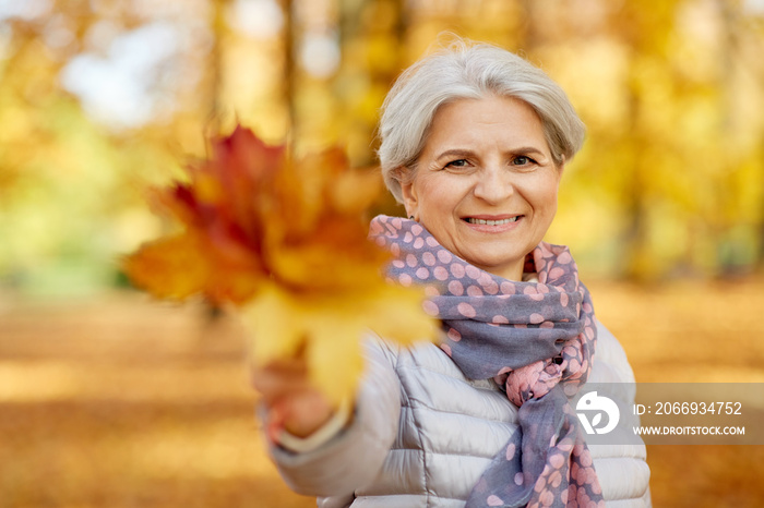 old age, retirement and season concept - portrait of happy senior woman with maple leaves at autumn park