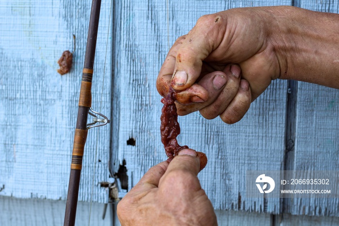 Man demonstrating how to bait a hook with beef liver to catch catfish