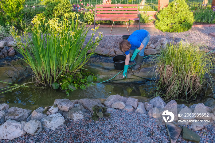 white middle aged  woman cleans fish pond from slime and water plants.