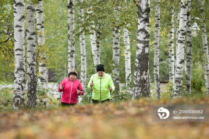 Old women throwing leaves into the air in an autumn park. Going upwards