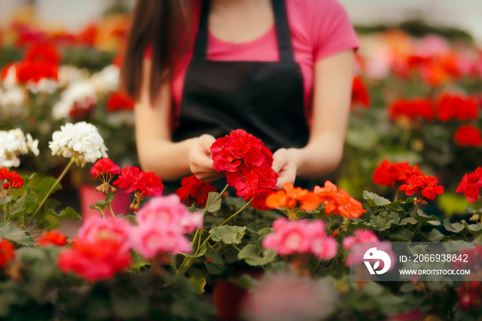 Greenhouse Worker Hands Caring for Plants