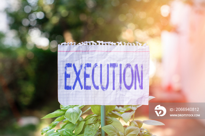 Handwriting text Execution. Conceptual photo it executes or imposes a program order or course of action Plain empty paper attached to a stick and placed in the green leafy plants