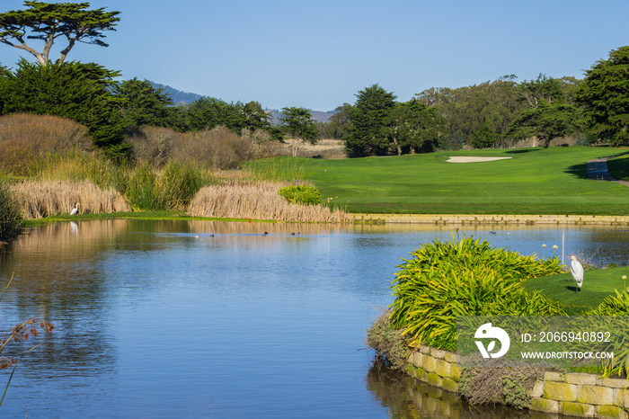 Man made pond near a golf course, California