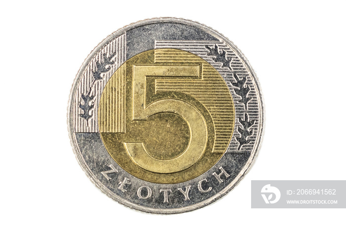 Polish 5 zloty coin on a white background