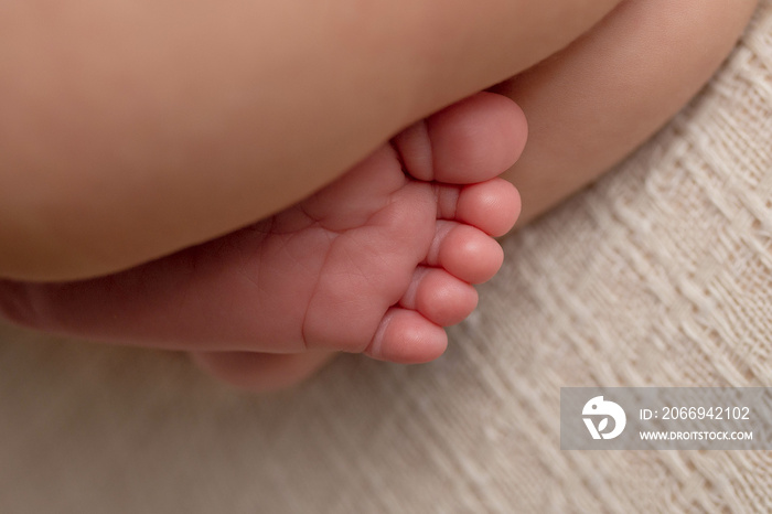 legs of a newborn baby on a beige background