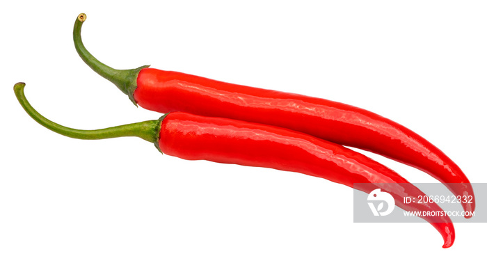 Red chilli pepper isolated on white background, Red chilli on White Background With clipping path.