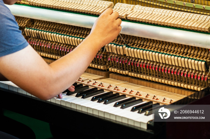 Piano technician  is checking the piano for the customer.Internal parts of the piano