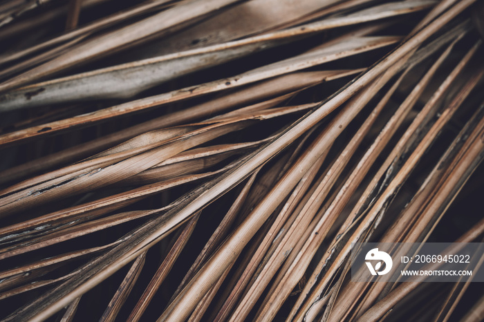 The texture of dry palm leaves on the ground