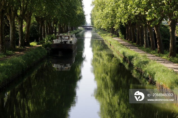 Eschau - Canal du Rhône au Rhin