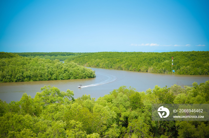 View from observatory, boat on river, mangrove forest, Can Gio, Vietnam