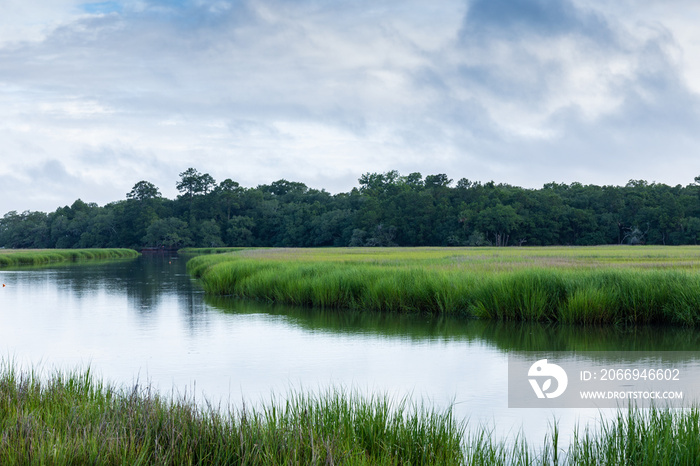 Early morning sunlight reflected in the waterway of a salt marsh, distant treeline and brilliant emerald green grass, horizontal aspect