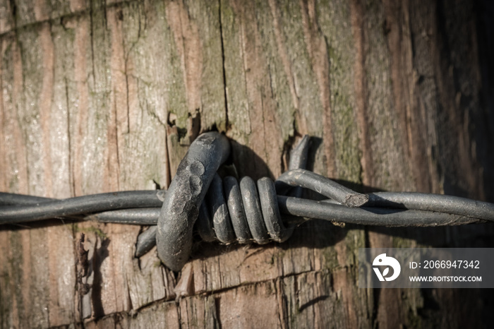 Detail of the multiple strands of barbed-wire with there sharp points can be seen, together with some rust on one of the points. The fencing is used at a border control point in Europe.