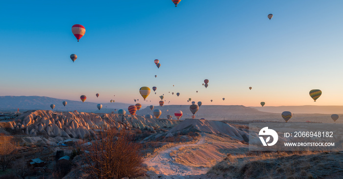 Colorful hot air balloons before launch in Goreme national park, Cappadocia, Turkey