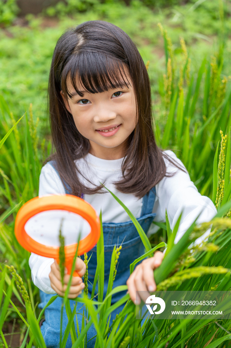 小女孩拿着放大镜观察植物