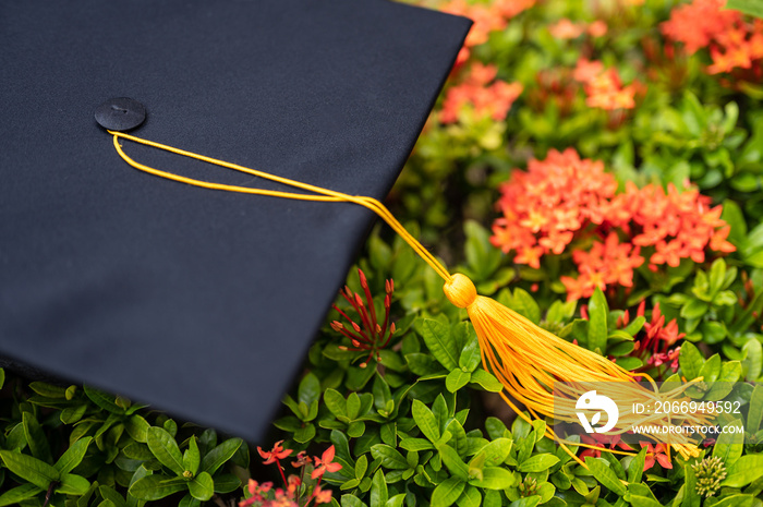 Black Graduation Hat placed on spike flower