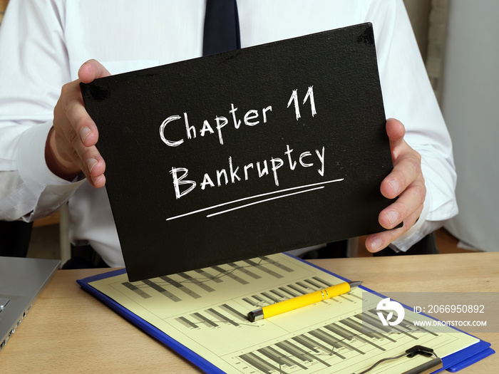 Business concept about Chapter 11 Bankruptcy with phrase on the page.