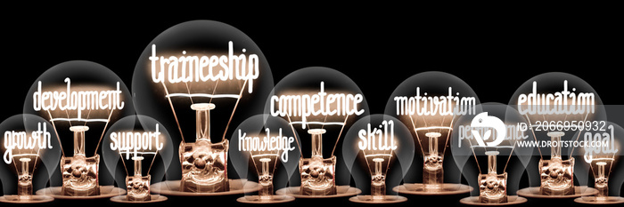 Light Bulbs with Traineeship Concept