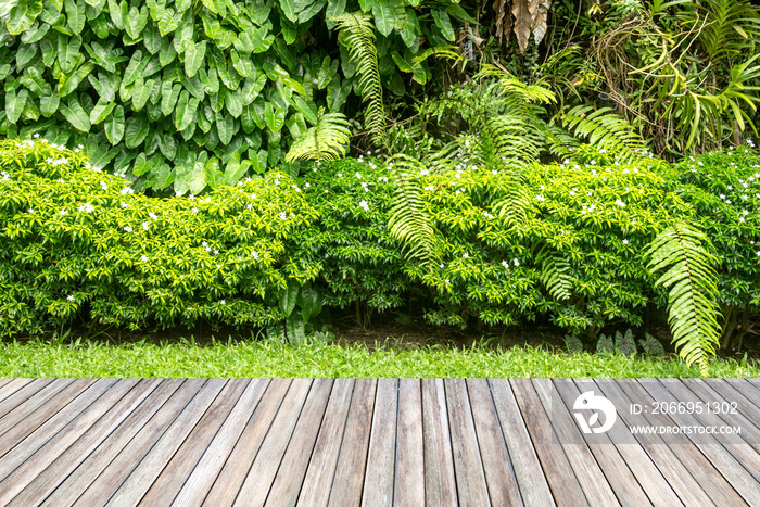 Wooden decking and plant garden decorative.