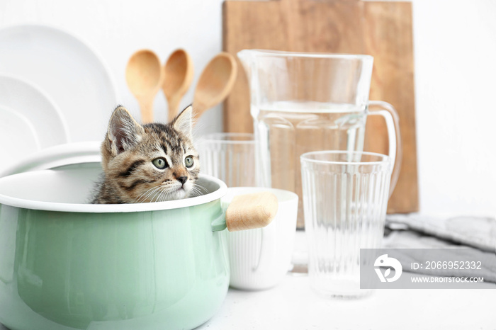 Cute funny kitten in pot on kitchen table