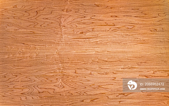 Dark Bird’s eye Maple Texture