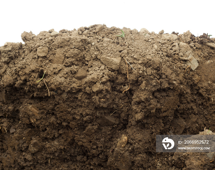 section in the soil or dirt isolated on white