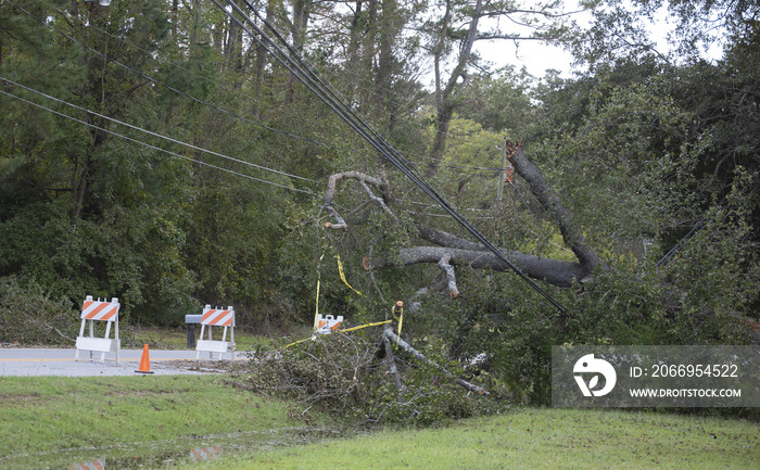 Power lines down in Wagram North Carolina after Hurricane Florence