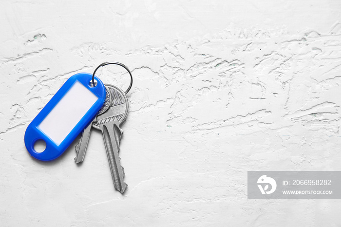 Keys with plastic tag on light background