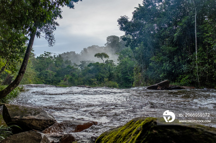 Rapids on Voltaire River, with morning mist, French Guiana