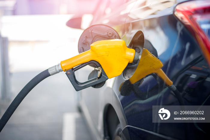 Close up of car is refilling oil fuel in Gas Station