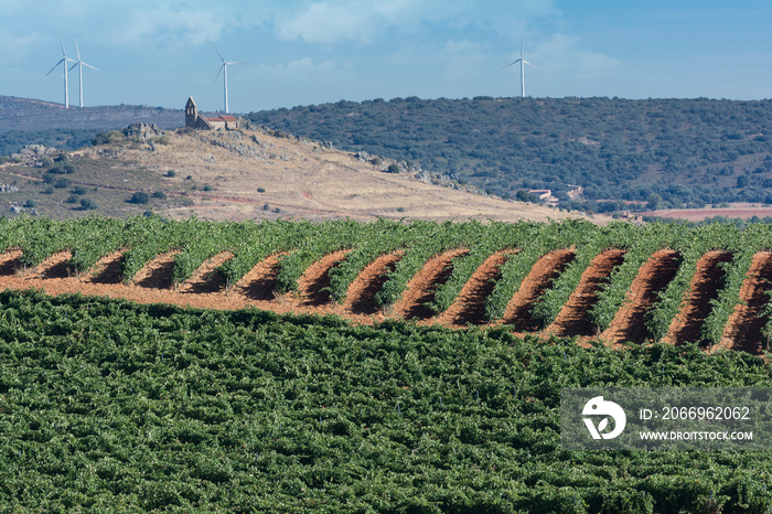 Economic resources in a rural area in the north of the province of Zamora in Spain, as an example of the fight against depopulation