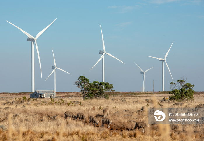 Wind turbine  farm near Hamilton, Victoria, Australia.