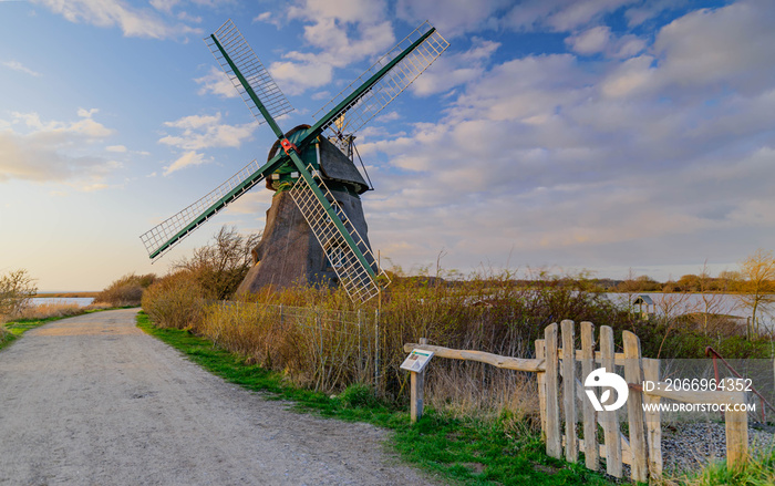 Windmill Charlotte in Geltinger Birk, nature reserve Schleswig Holstein, Nieby, Germany.