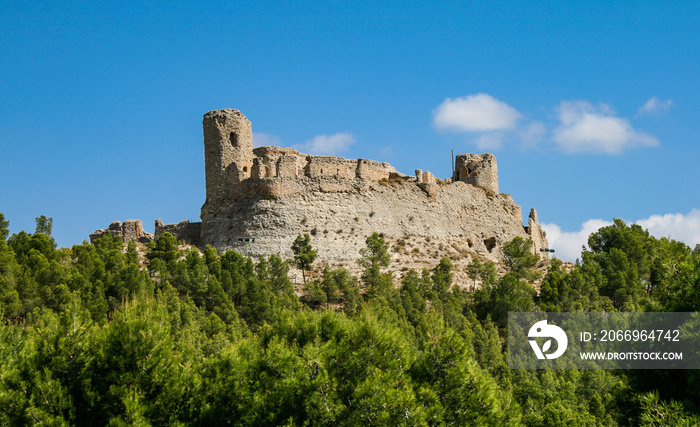 Calatayud Castle surrounded by veteran and with a beautiful blue sky with clouds