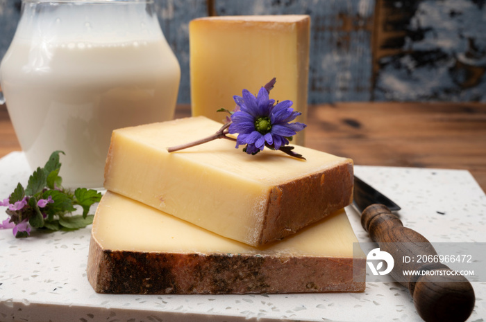 French cheese collection, comte cheese made from unpasteurized cow’s milk in Franche-Comte, France