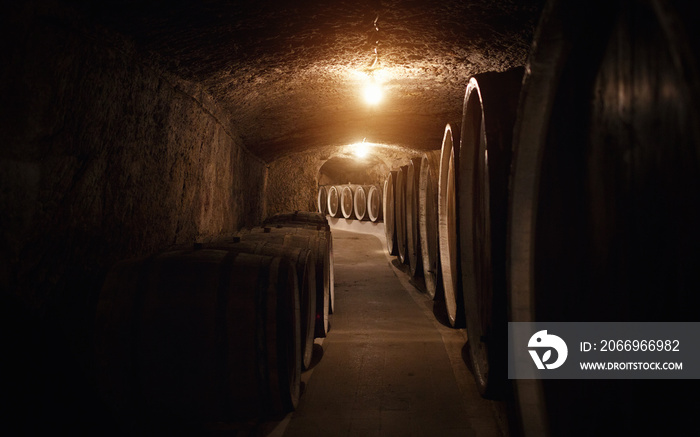 old wine cellar with large wooden wine barrels in Ukraine