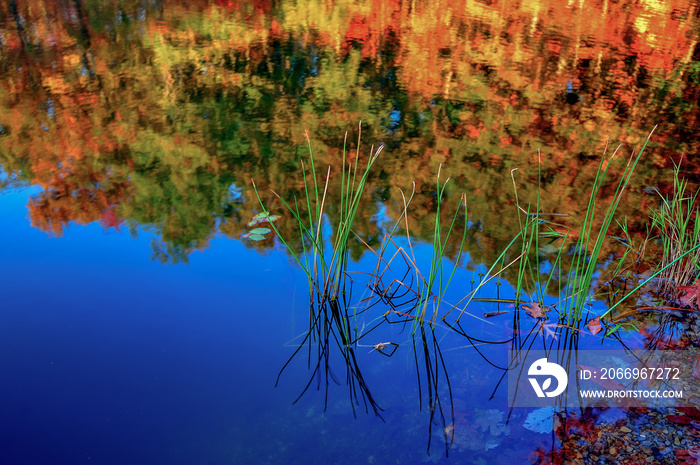 Fallen autom leaves and colorful trees around the banks of Boley Lake in West Virginia