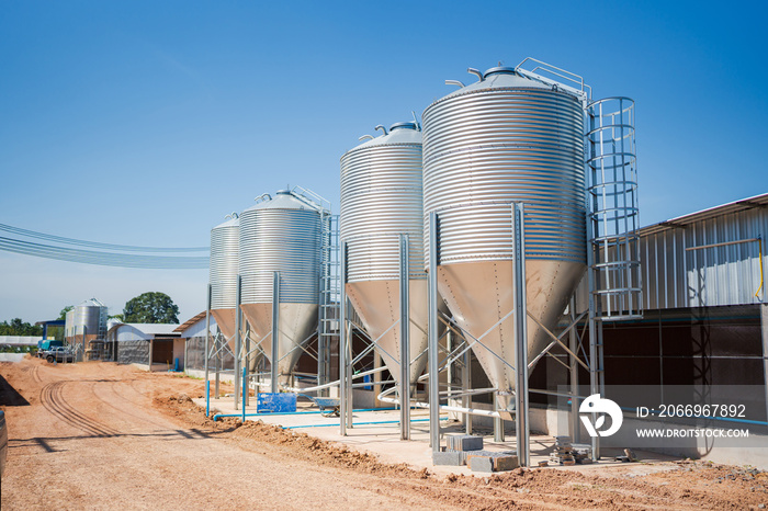 Commercial chicken farm