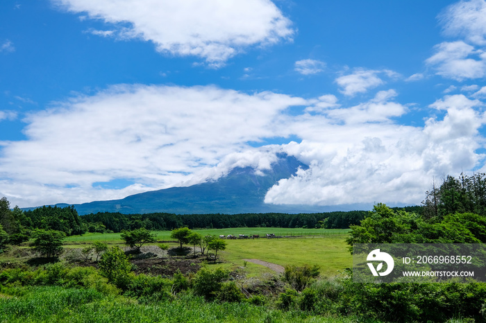 キャンプ場からの富士山