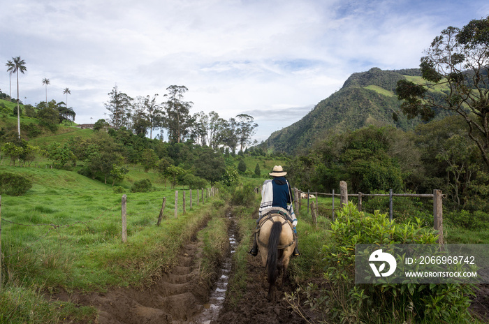 Promenade à cheval dans la vallée de Cocora, Colombie