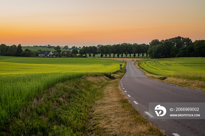 Country road in the evening