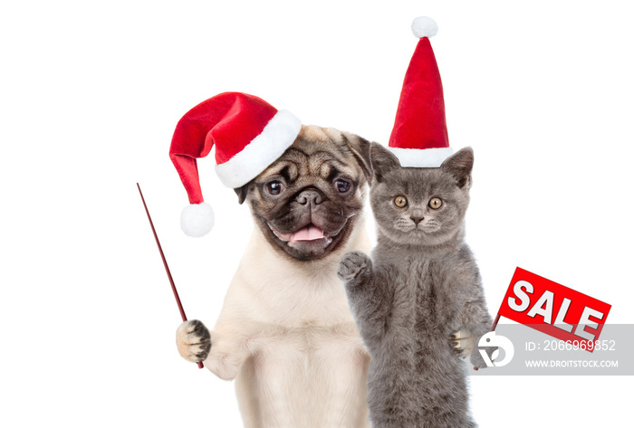 Funny cat with sales flag and dog  pointing away on empty space stand together. Pets wearing red christmas hats. isolated on white background