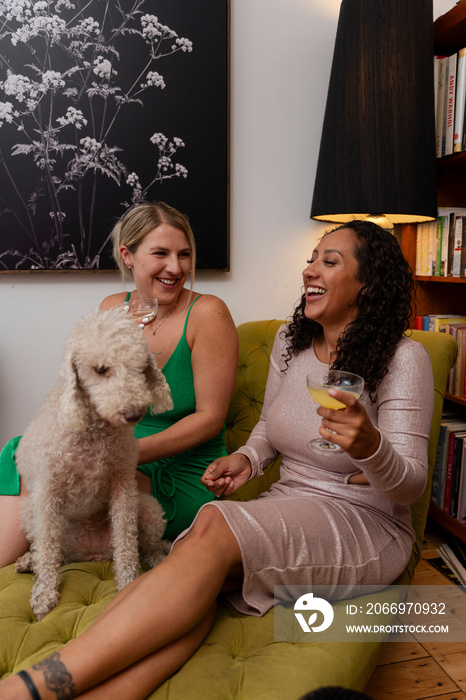 Women sitting on armchair with bedlington terrier