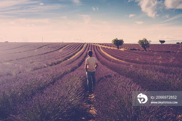 One standing man look the lavender field around him - human and beautiful travel scenic nature outdoors - france provence valensole location - fragrance and parfums production business