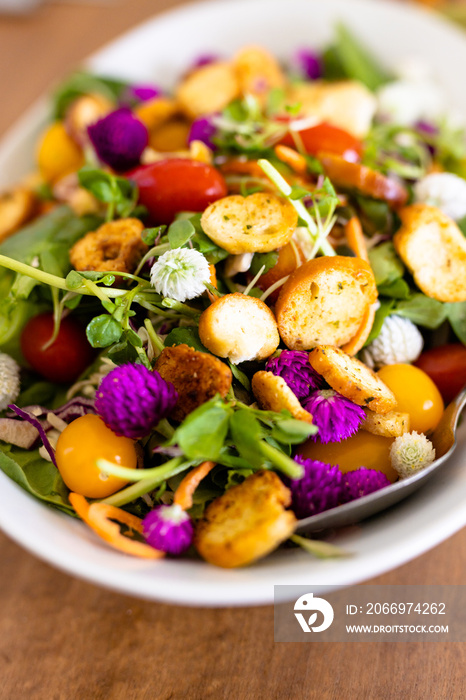 Close-up of cherry tomatoes, bread slices and leaf vegetables salad served in plate at nursing home