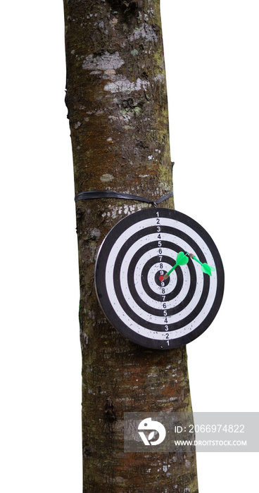 target and arrow on tree