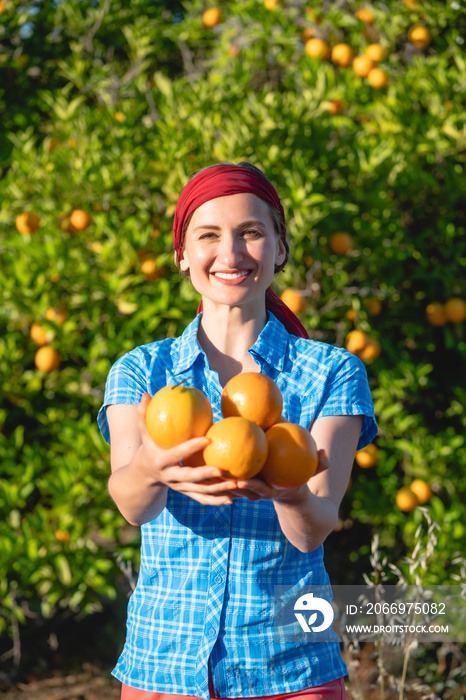 Farmer woman harvesting oranges in her orchard