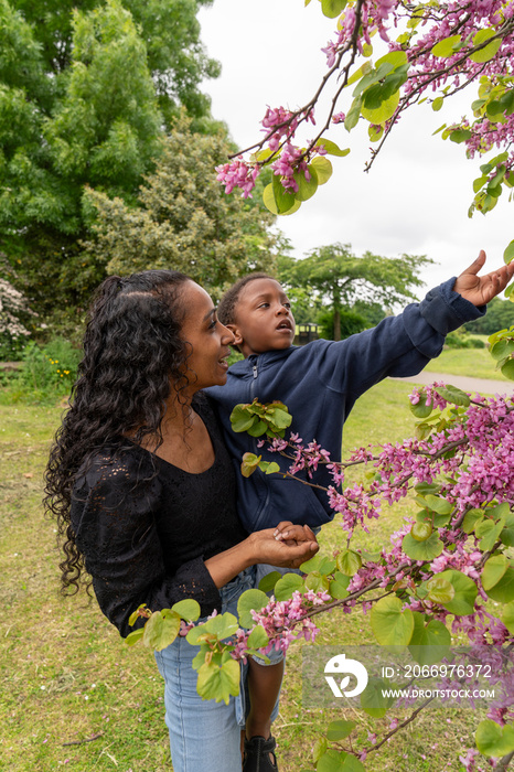 Mother carrying son while looking at cherry tree